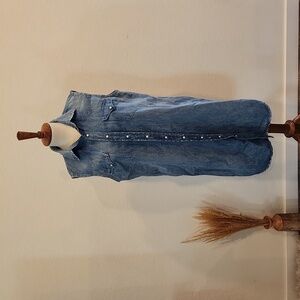 Polo Ralph Lauren Denim Button Down Dress